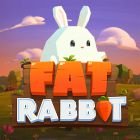 Slot Fat Rabbit Push Gaming Casino